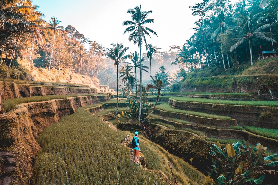 trả bài