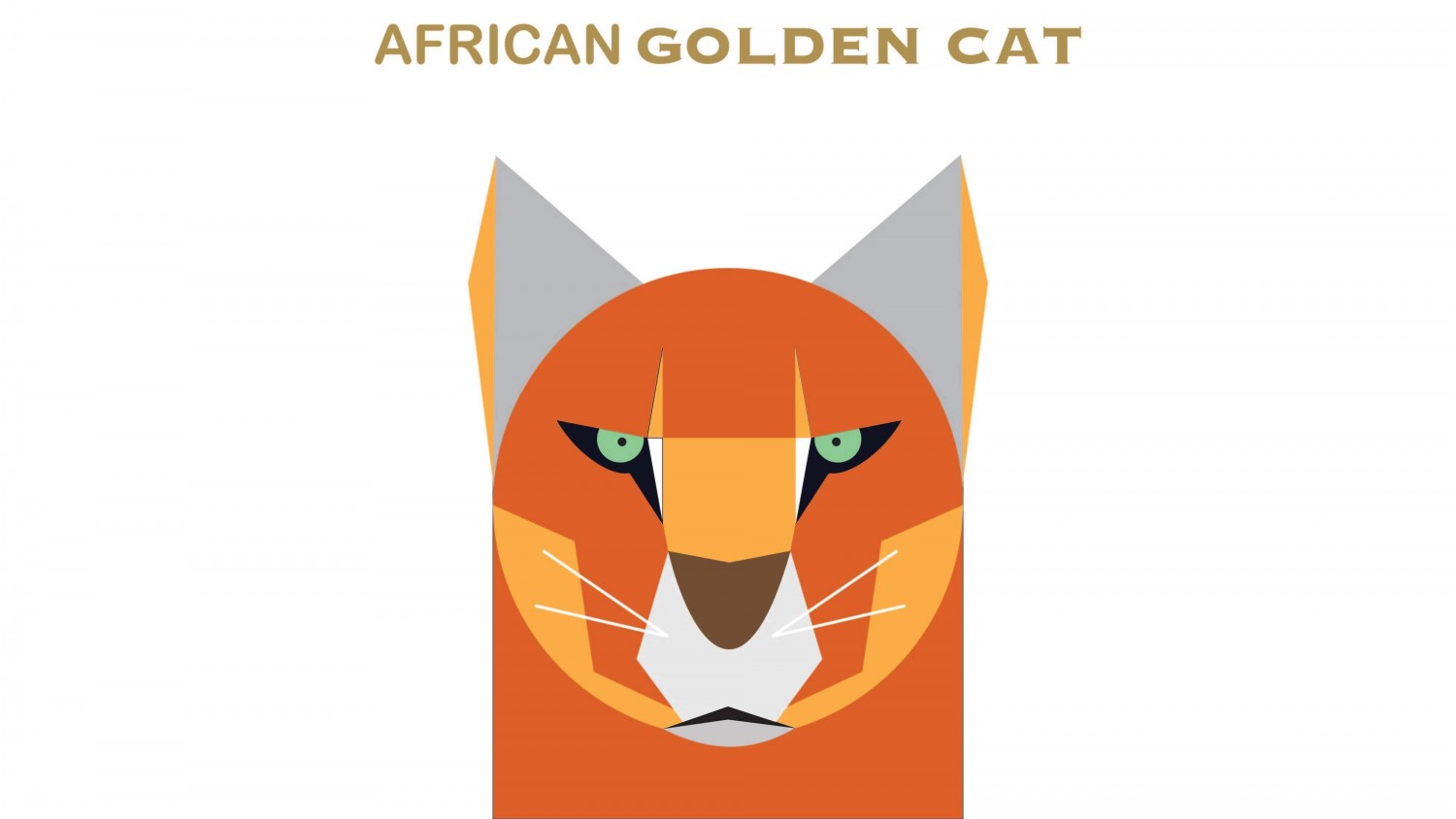 African golden cat