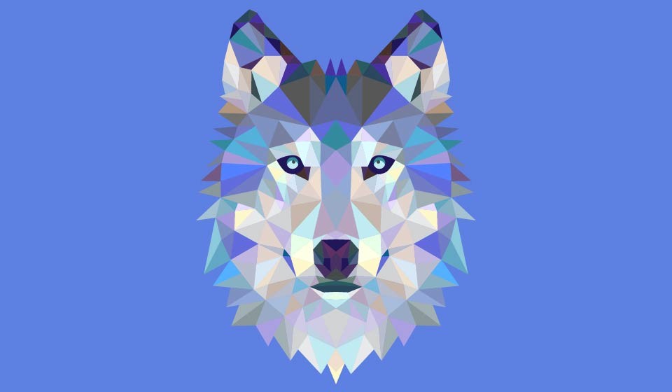 BTVN_buoi1 ( wolf)