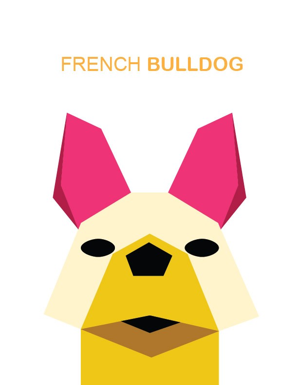 BTVN B1 | FRENCH BULLDOG