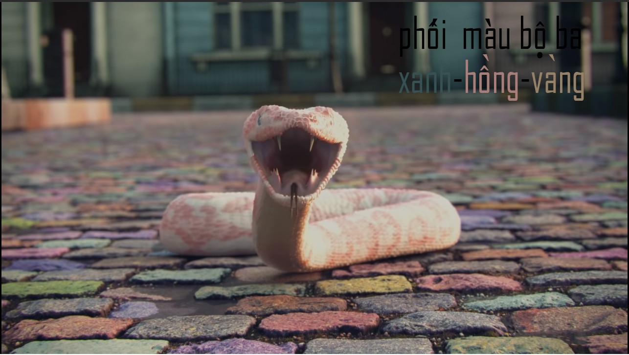 btvn buổi 3