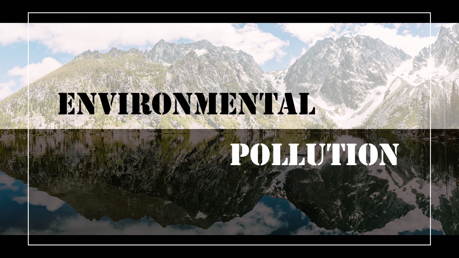 Environmental Pollution