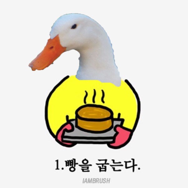 BT buổi 1