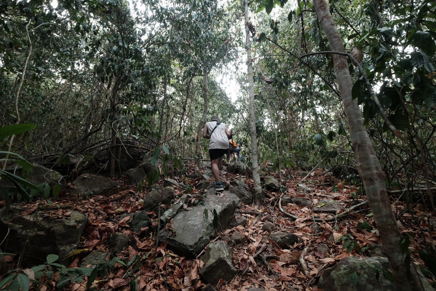 nộp bài 1