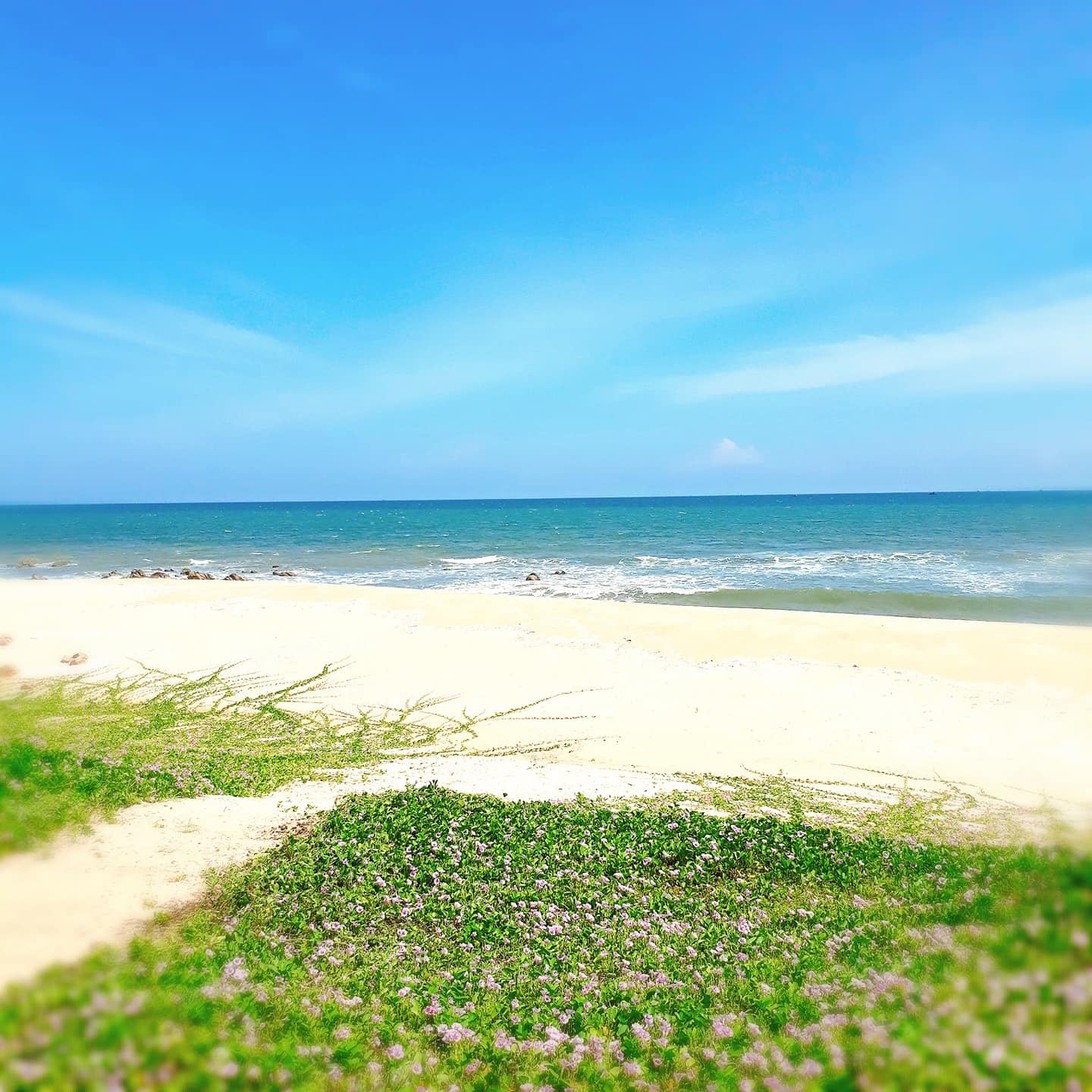 Nguyễn Thị Gái -BT buổi 1