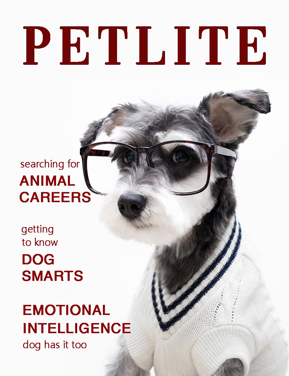 Bìa tạp chí - Petlite