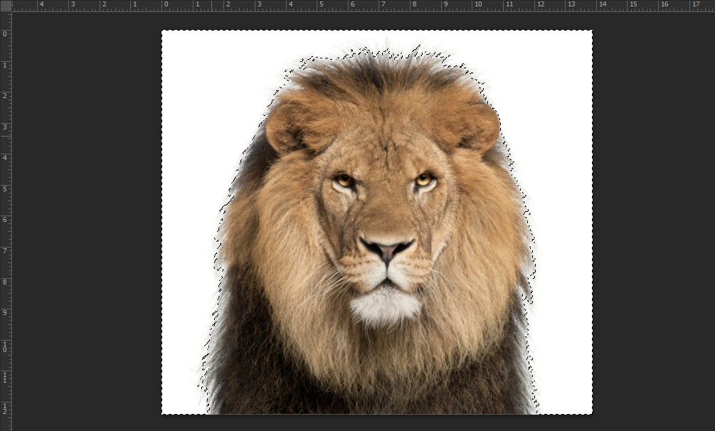 Hướng dẫn sử dụng magic wand tool trong Photoshop