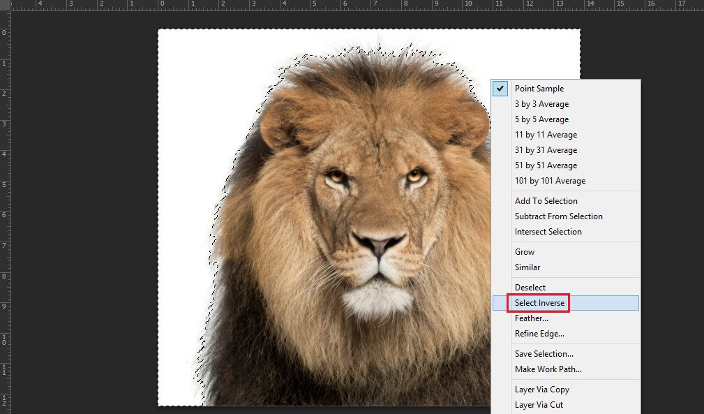 Hướng dẫn sử dụng magic wand tool trong Photoshop