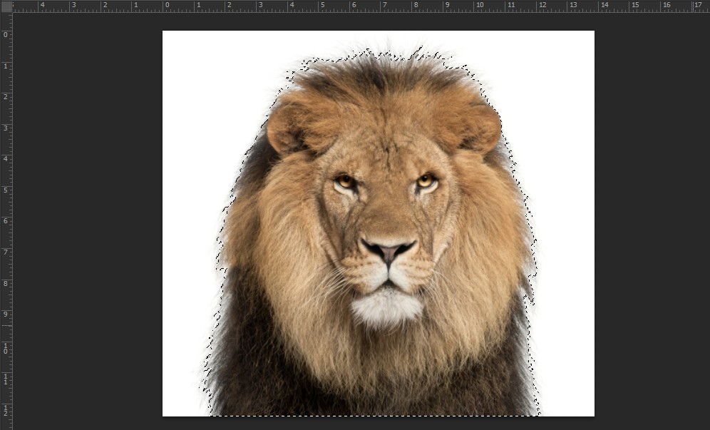 Hướng dẫn sử dụng magic wand tool trong Photoshop