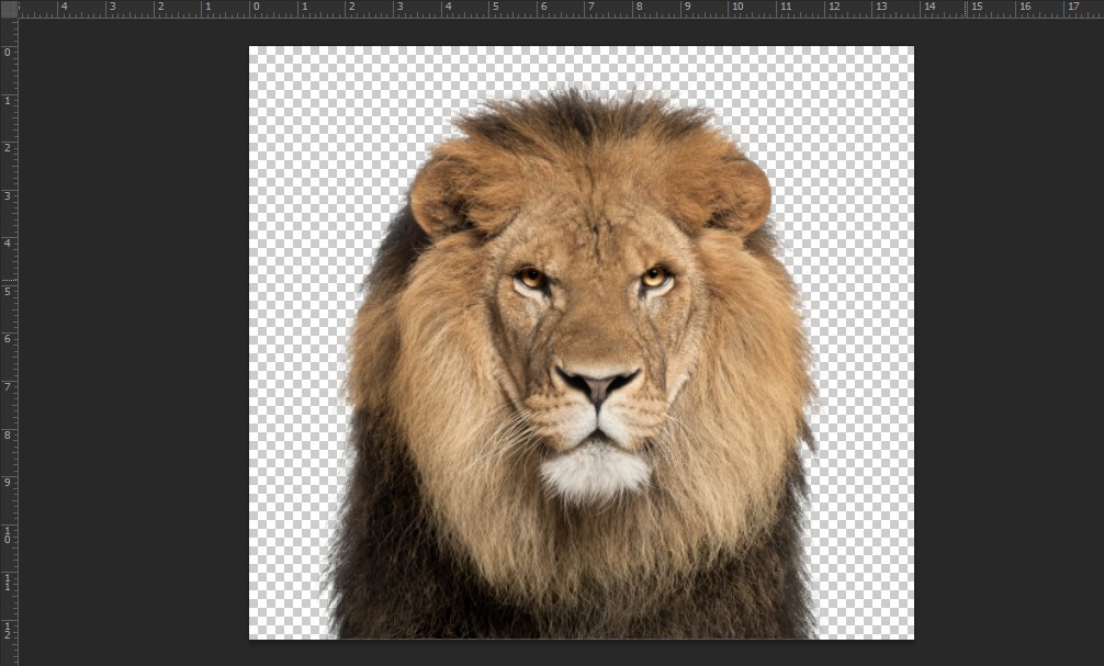 Hướng dẫn sử dụng magic wand tool trong Photoshop