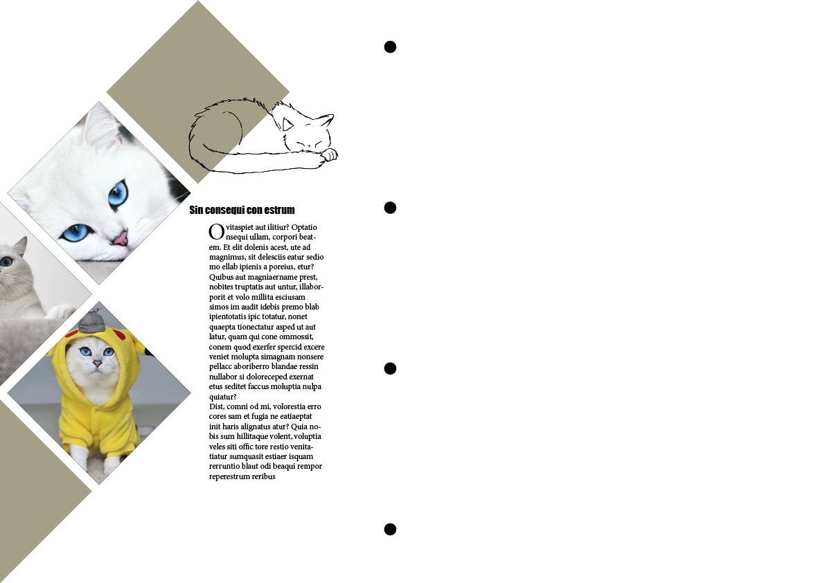 inDesign 3