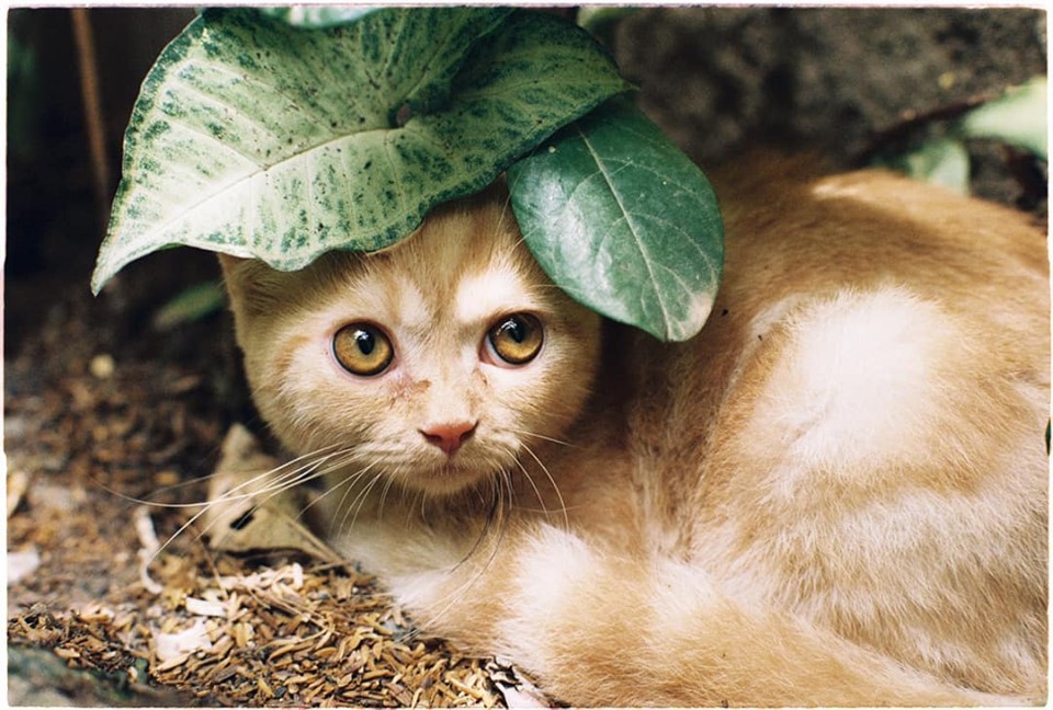 Bai tập buổi 6 