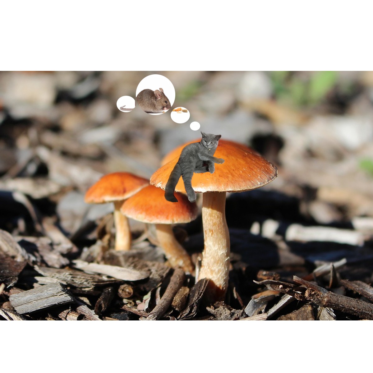 BTVN buổi 2