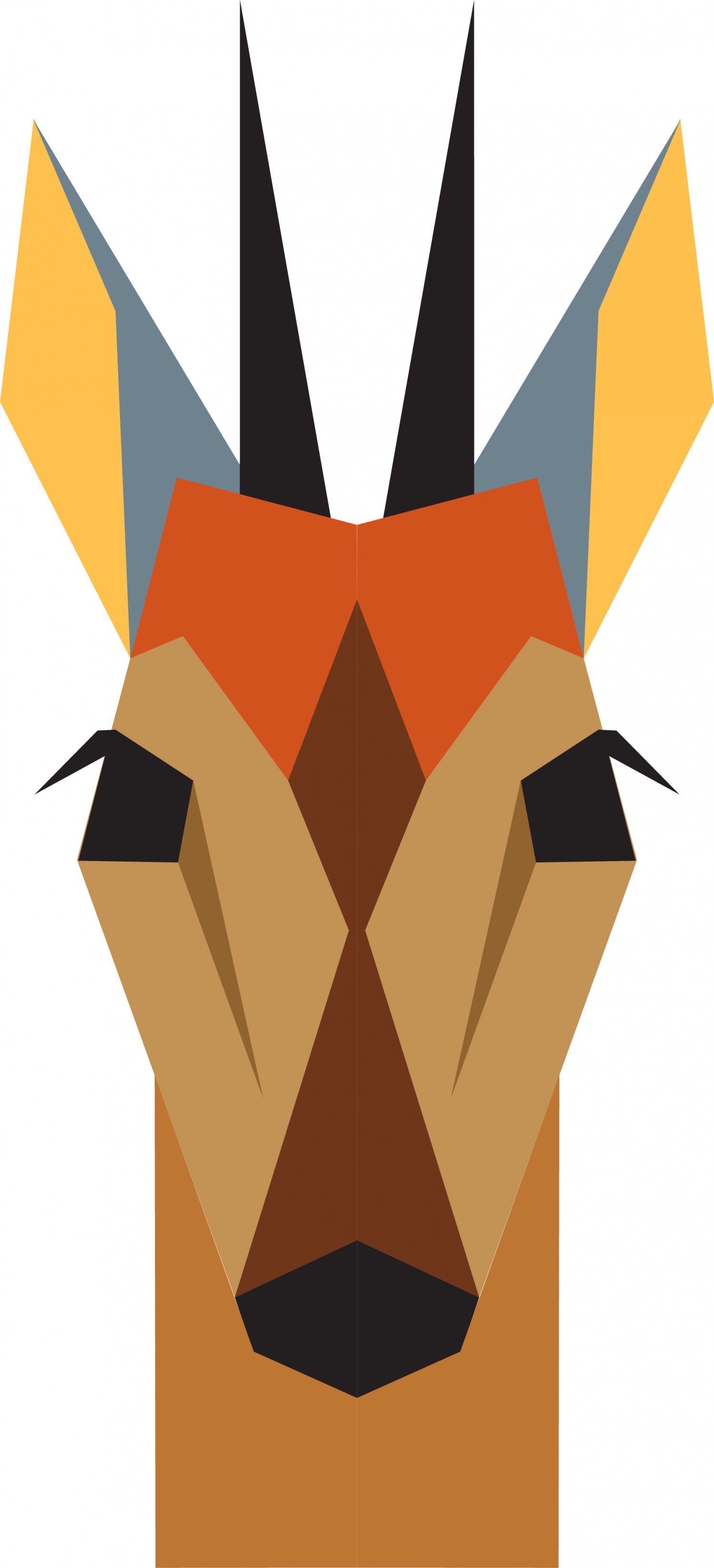 DUIKER