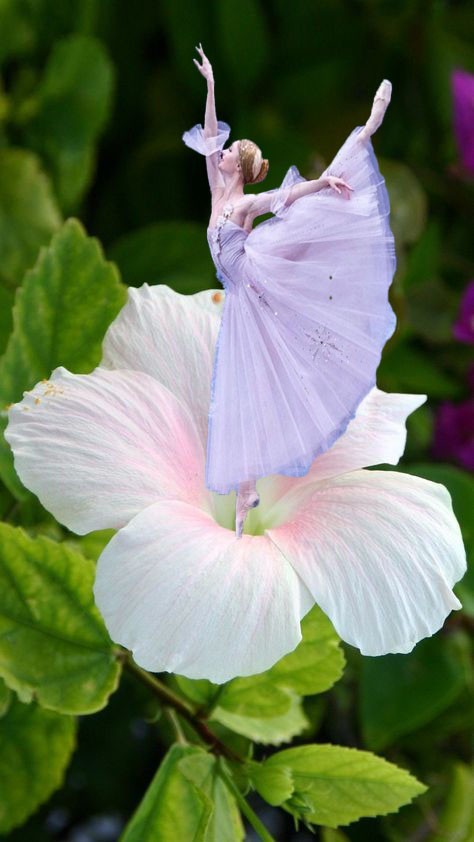 Dance on the flower