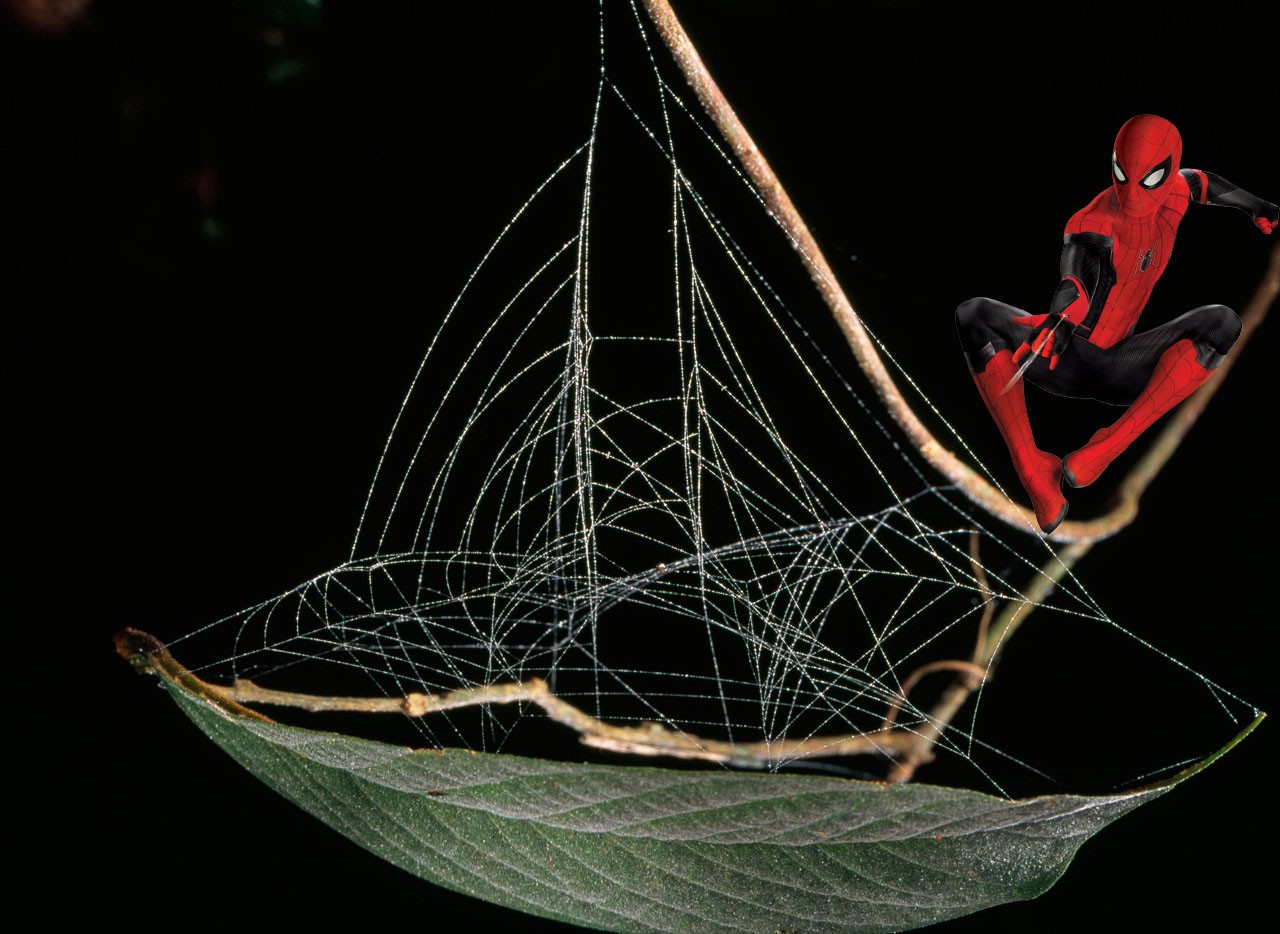 Spider Man - Phượt Tiết Kiệm 