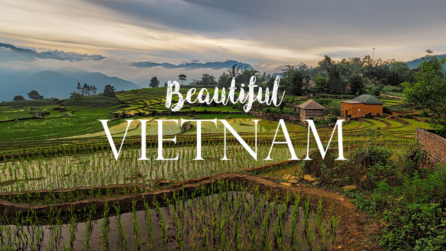 BTVN Buổi 2