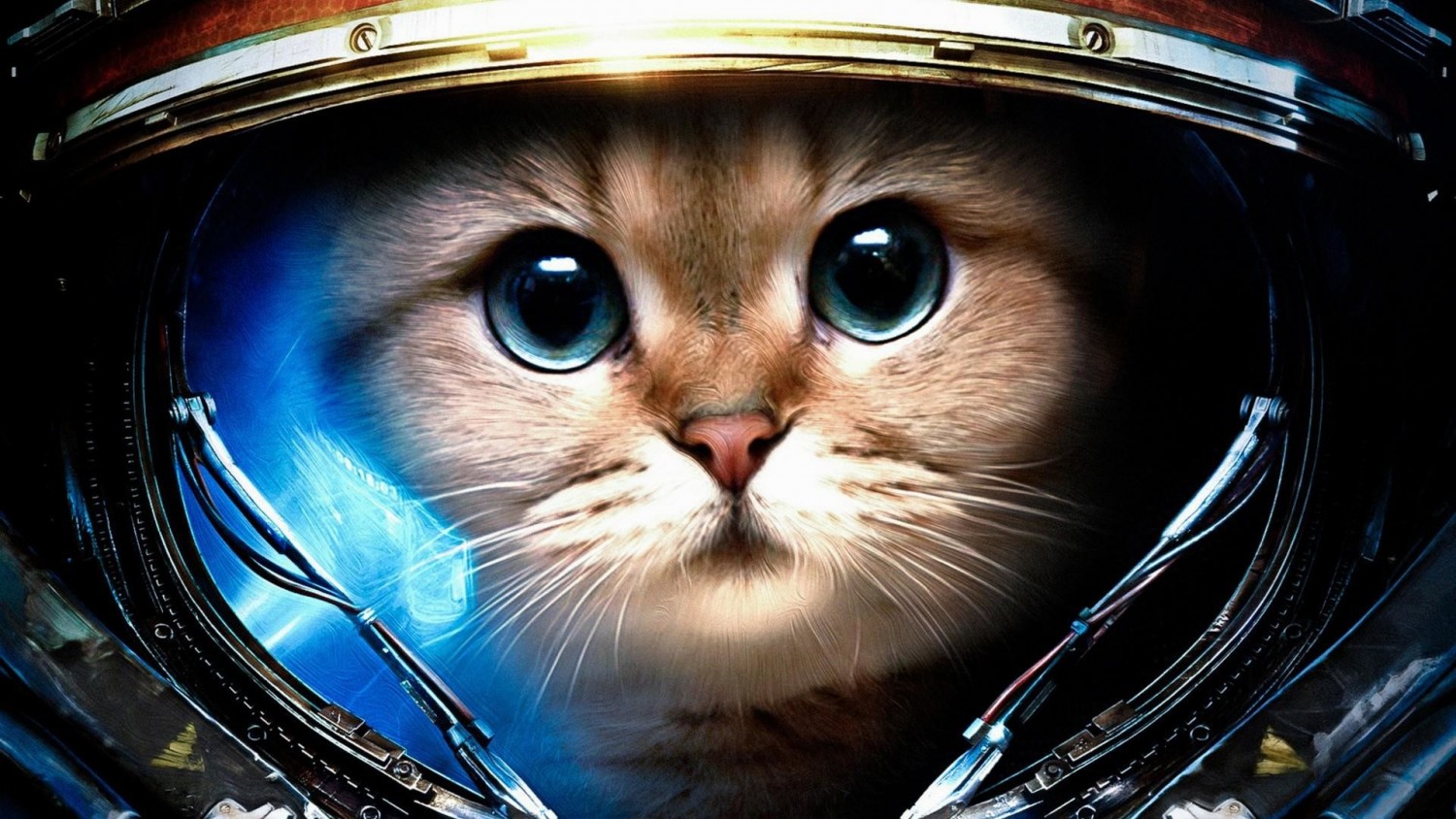 Nộp bài tập về nhà buổi 3