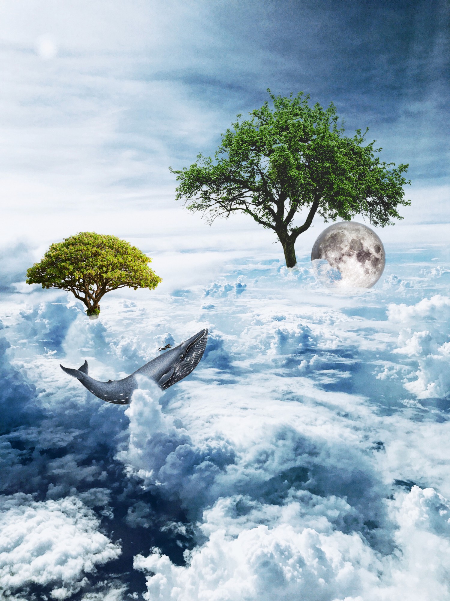 Life over clouds