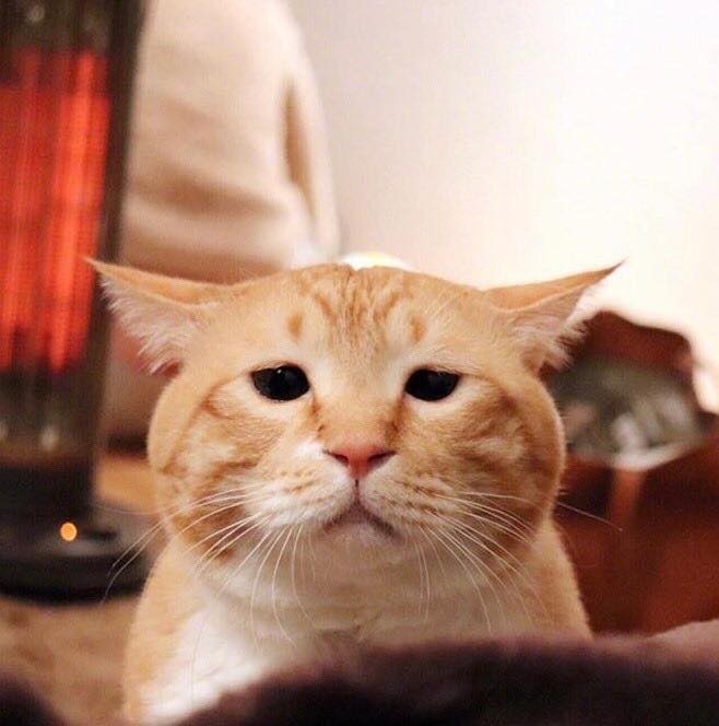 .