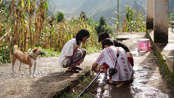 Bài tập cắt ghép.