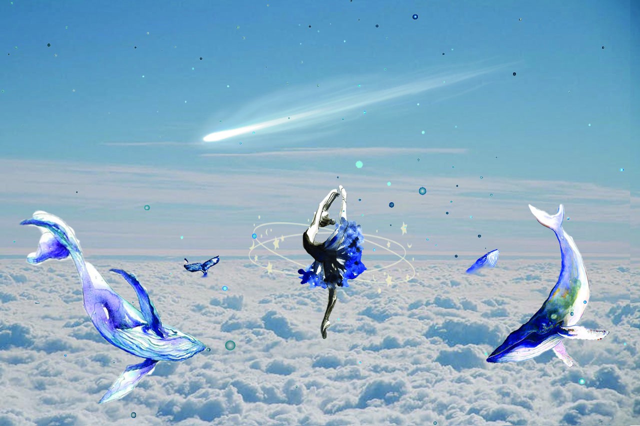 sky HIgh