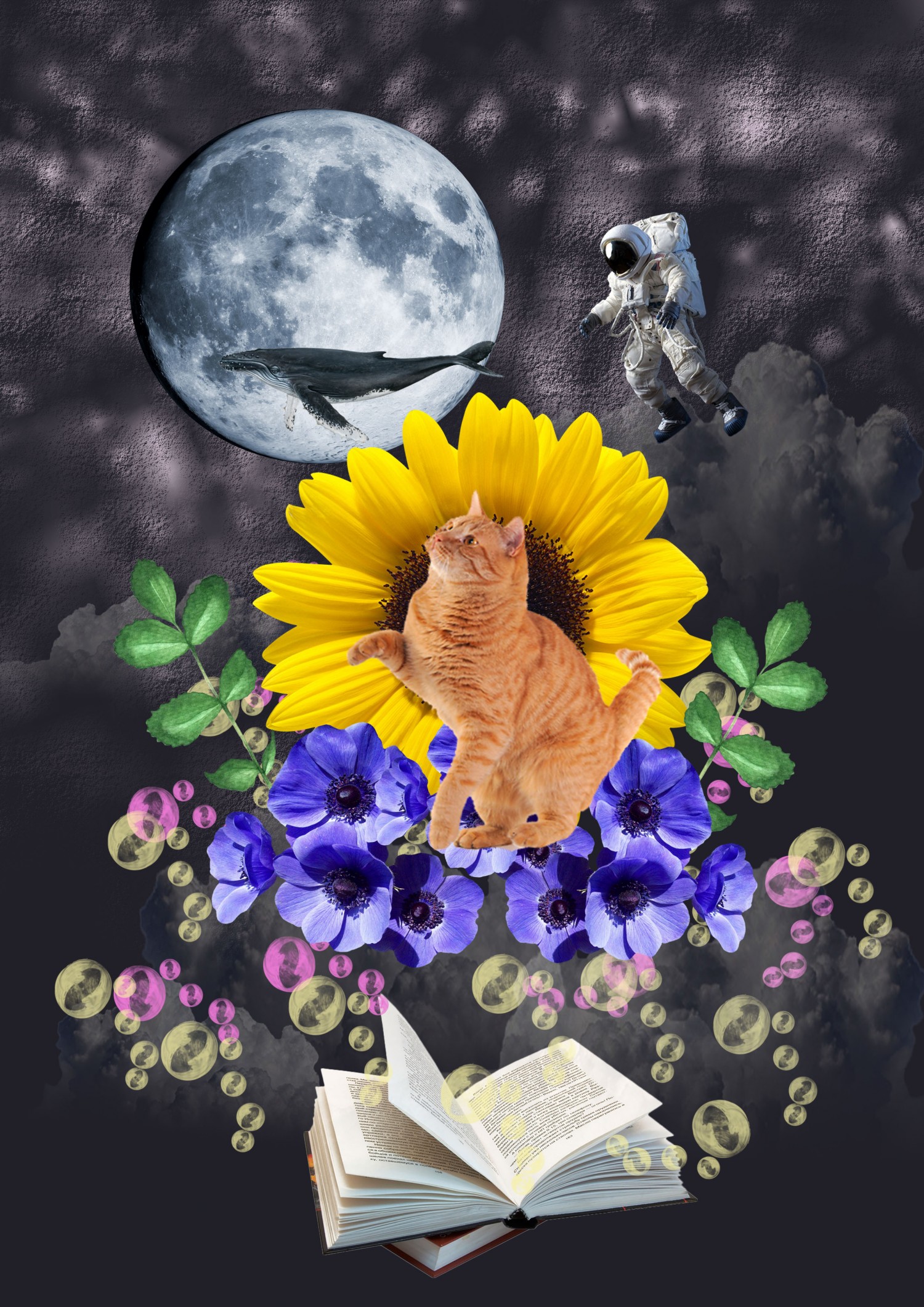 BTVN3.1 Digital collage 