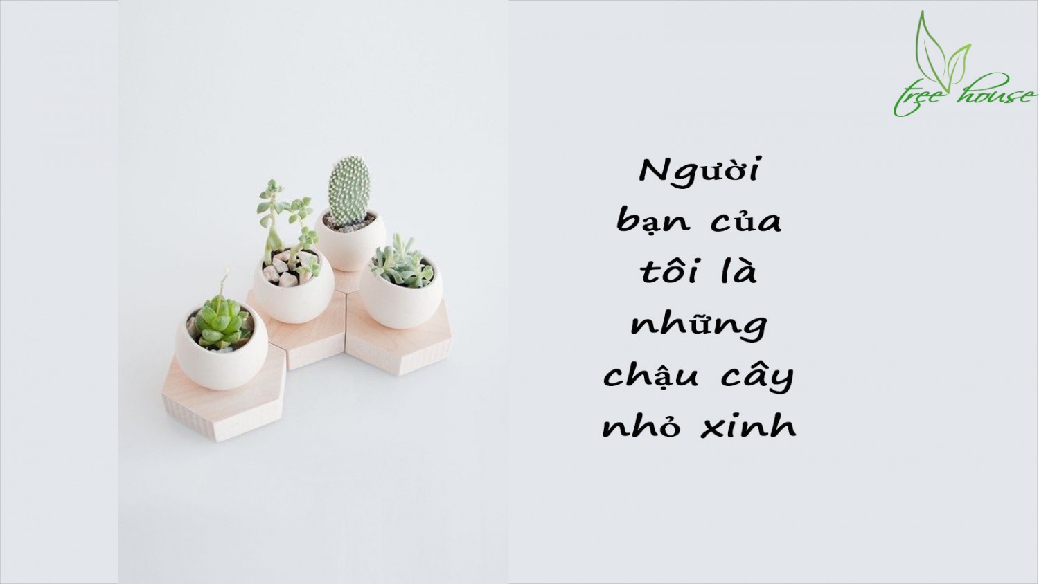thiết kế Layout
