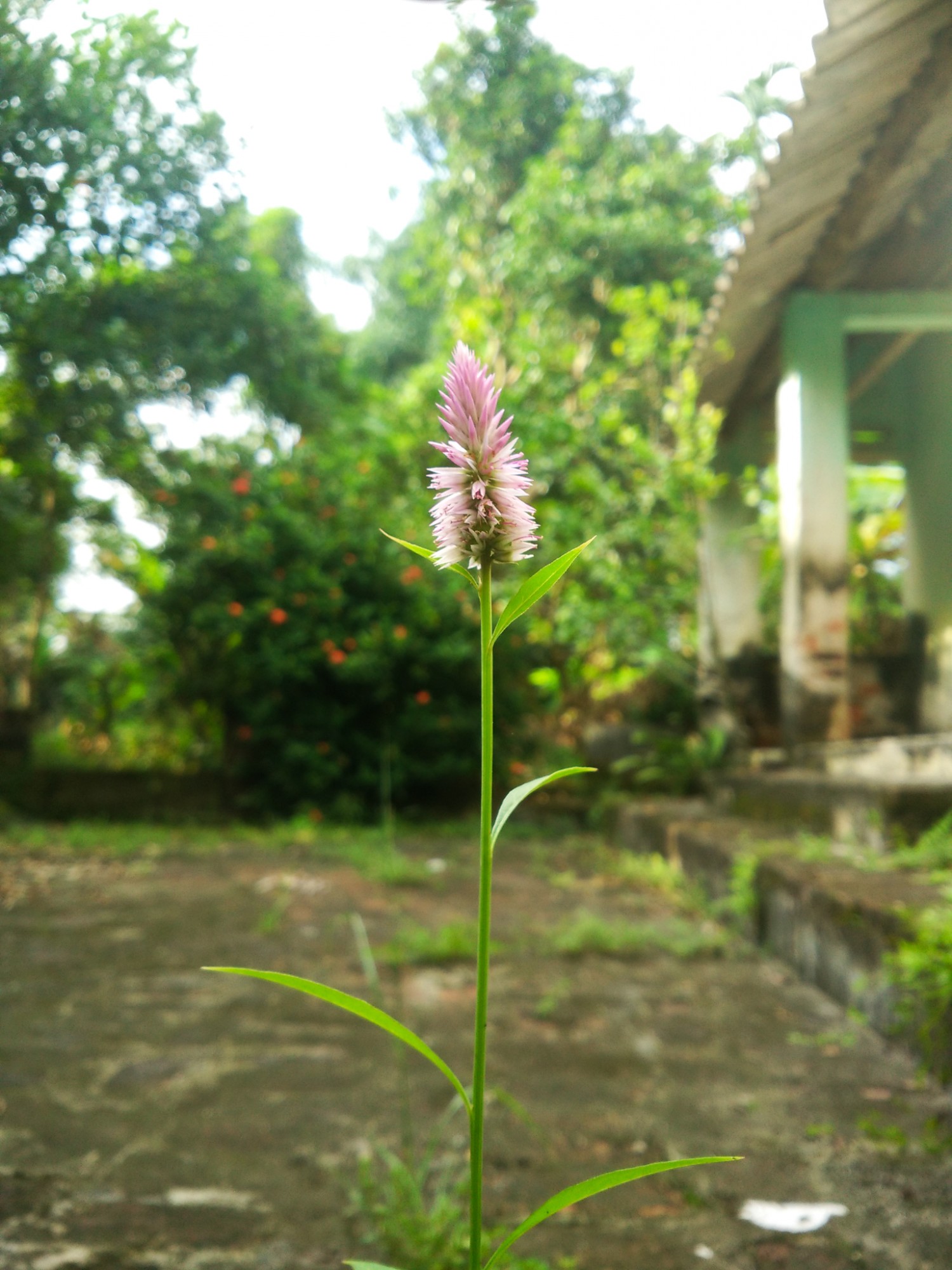 Bài tập về nhà buổi 3