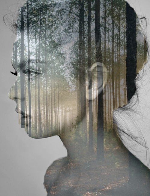 nature inside