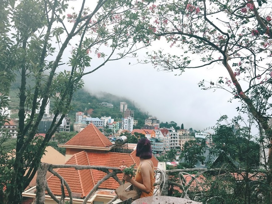 Hồ Thị Thu Thảo Buổi 2 Pr52.3ColorMe