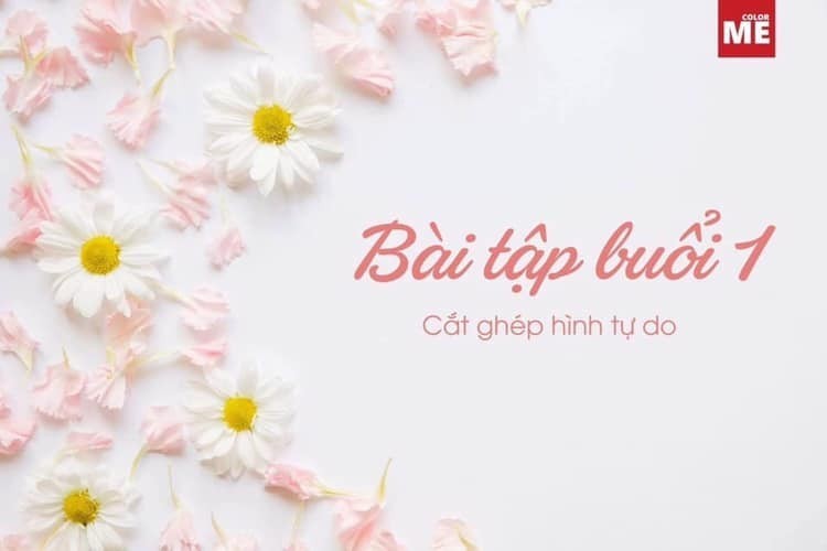 BTVN buổi 1