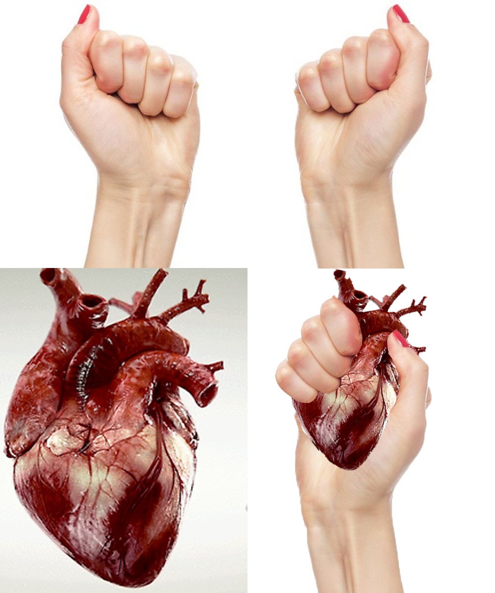 Bóp nát trái tim