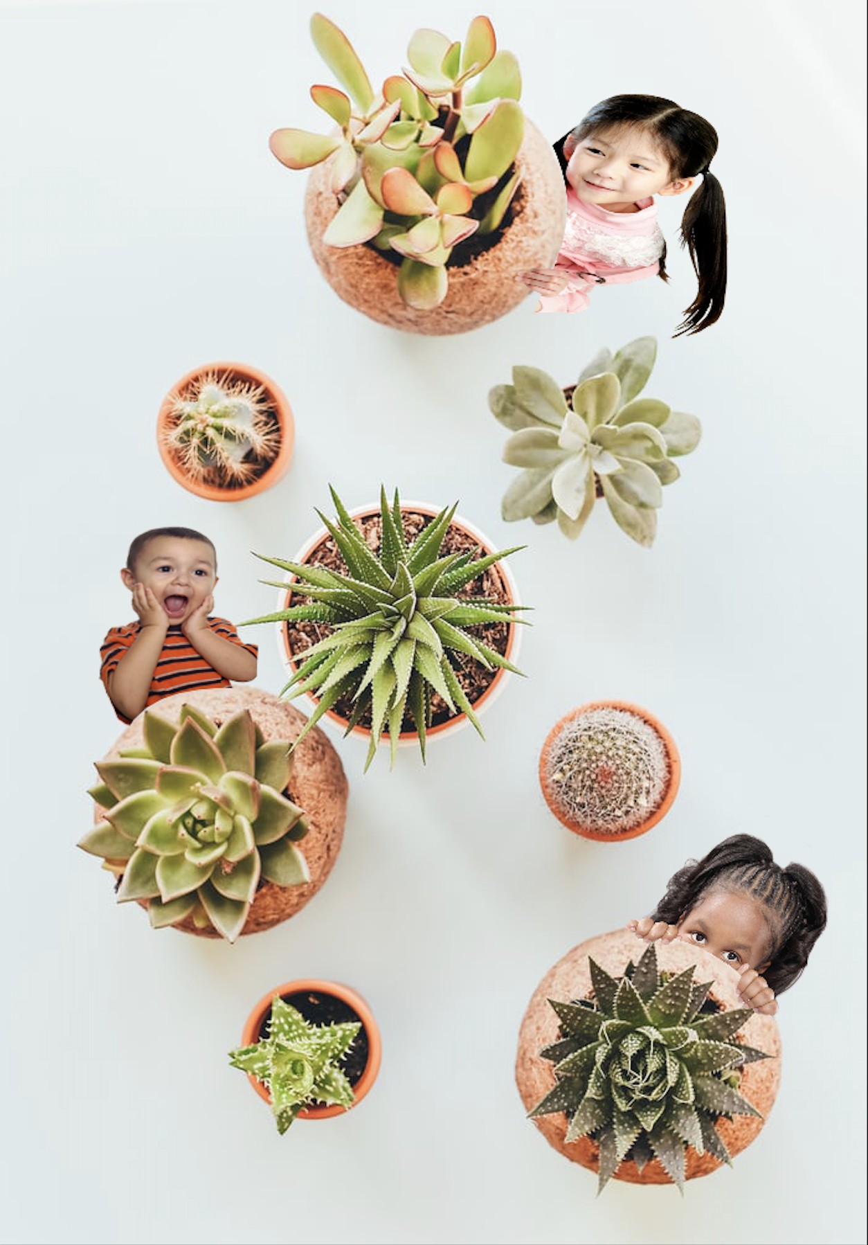 Cắt ghép ảnh