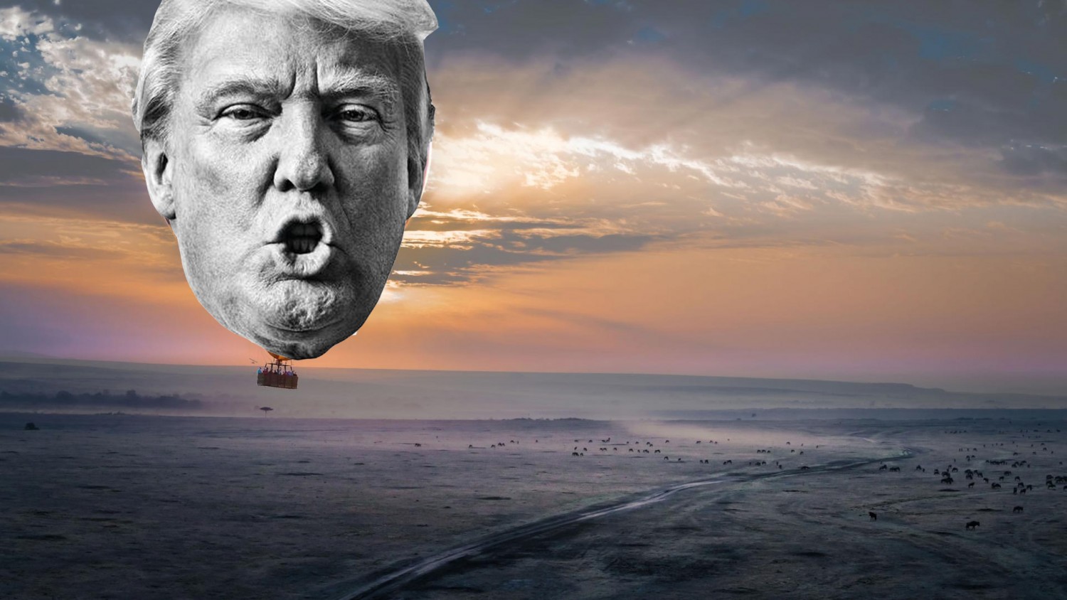 Trump's big balloony head