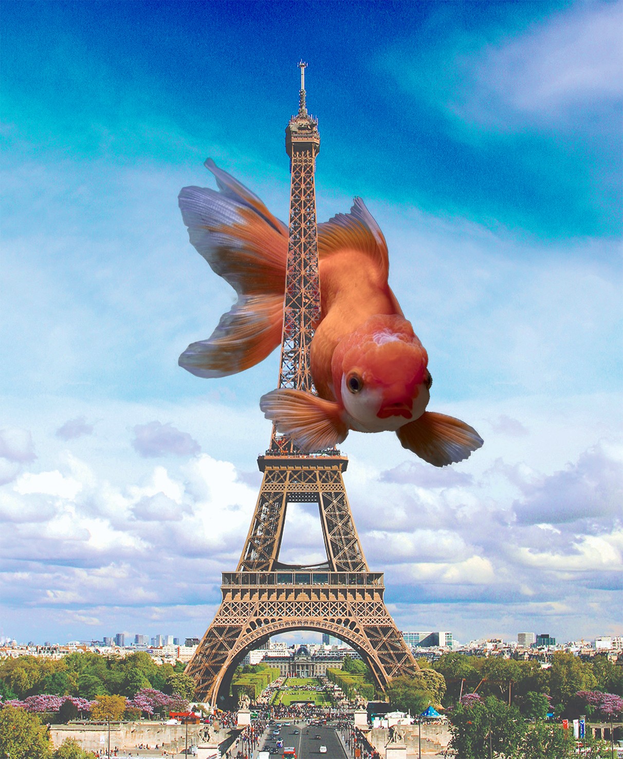 goldfish
