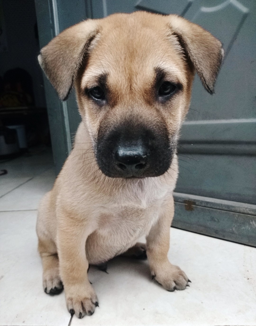 Đằng sau mỗi bức ảnh, đều là một câu chuyện :)