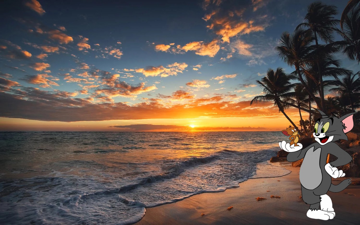 đi đến hawaii