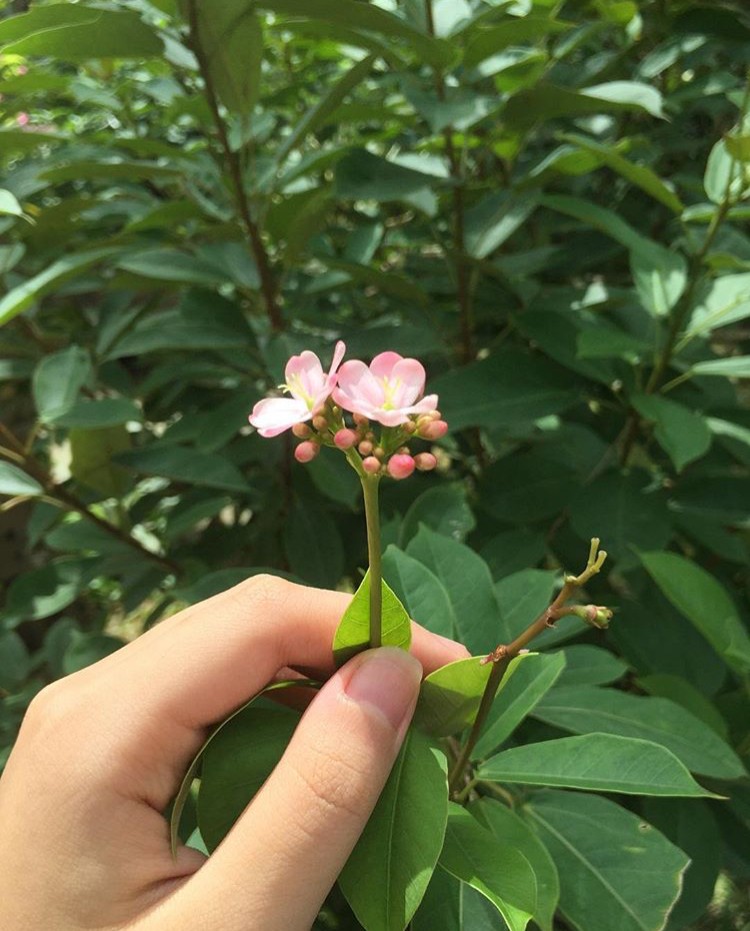 BTVN Buổi 1