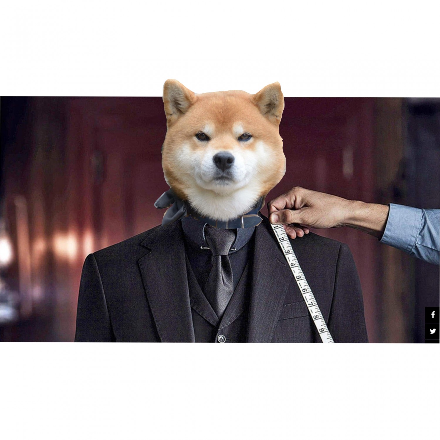 John Shiba 2