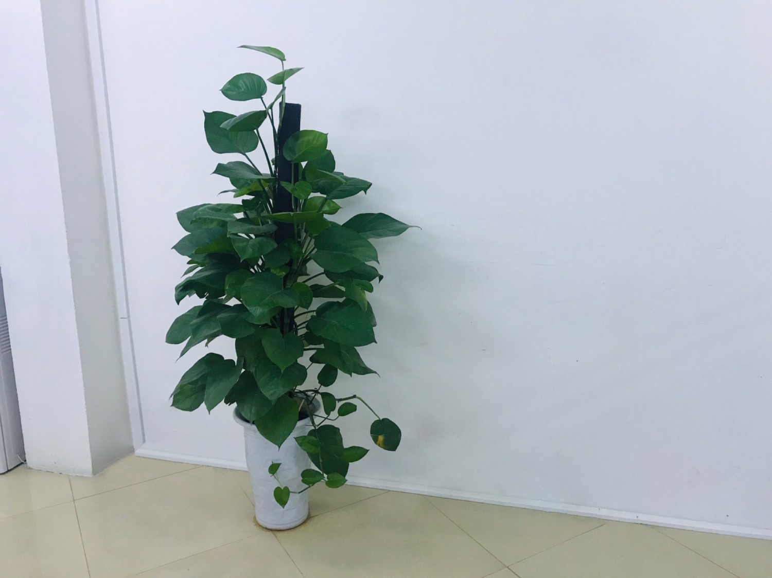 Buổi 2