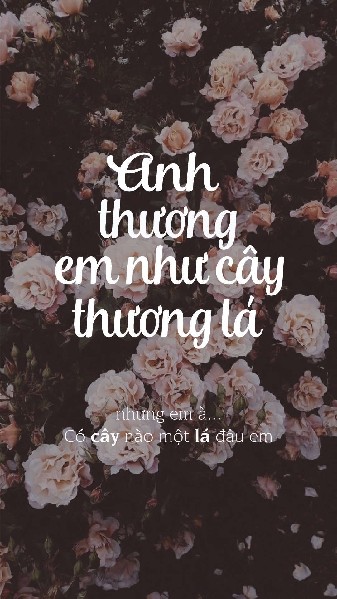 Bài tập 3- Vũ Lê Thiên Minh