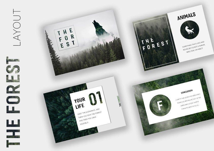 BTVN4: Layout Design