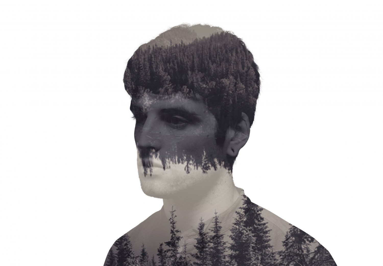 Manipulation Pic