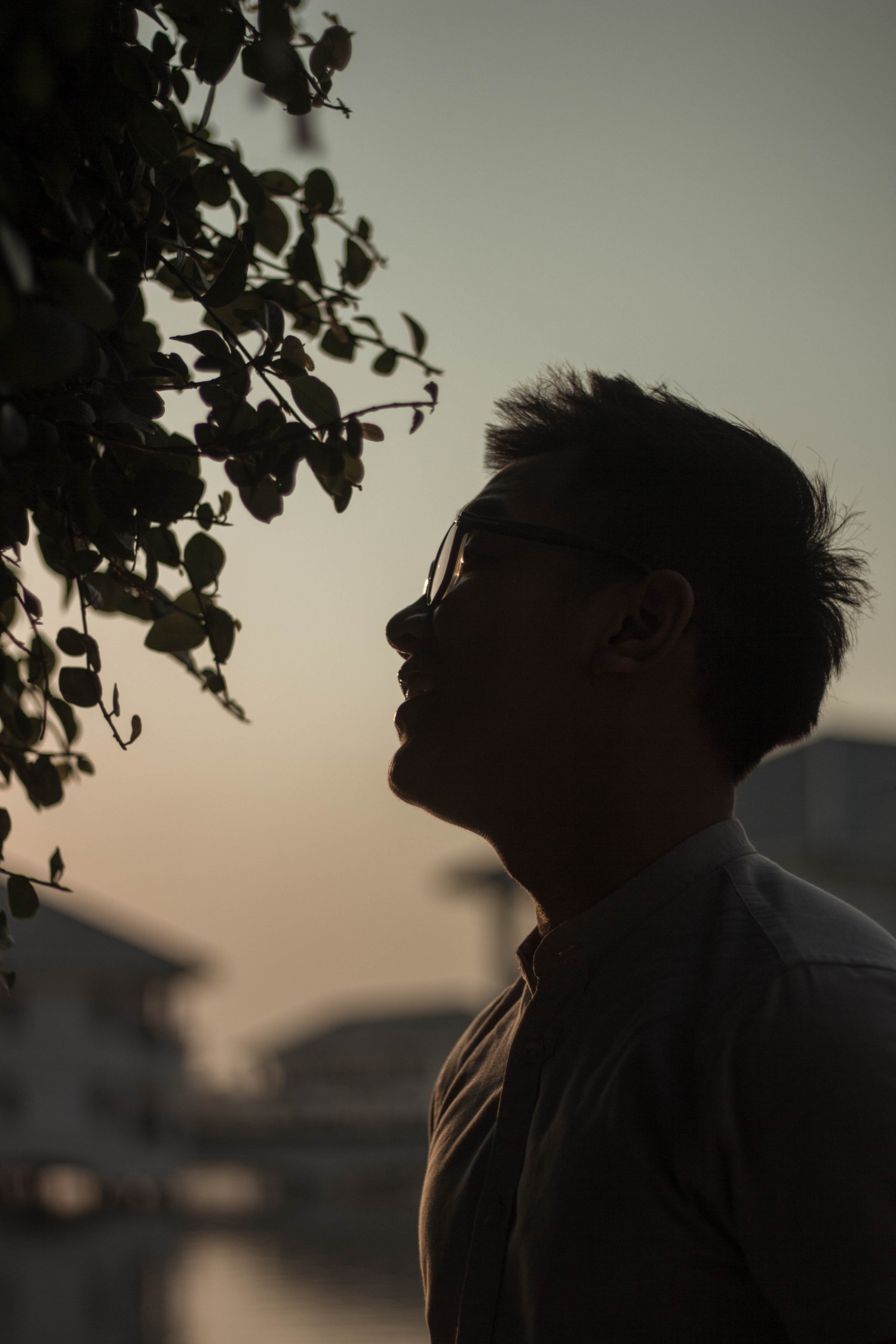 Before Sunset