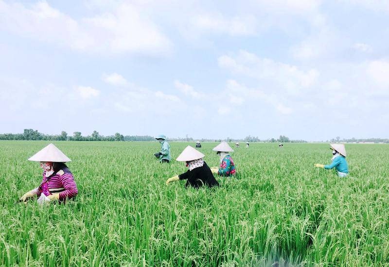 Chỉnh sửa ảnh