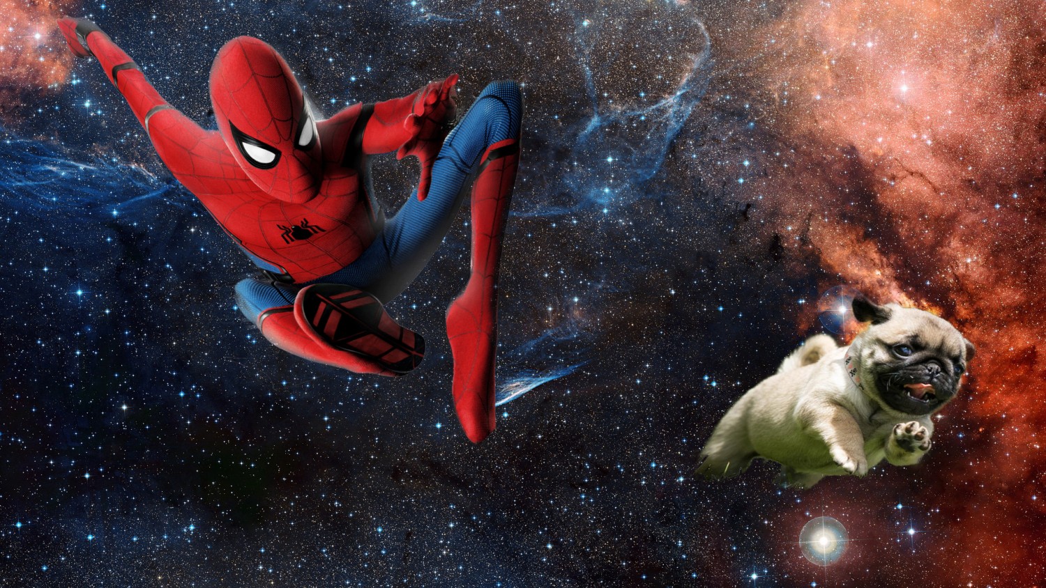Spider  Man bắt chó Pug mặt xệ 