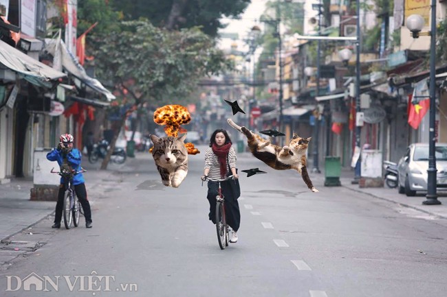 Khi mèo thống trị thế giới 