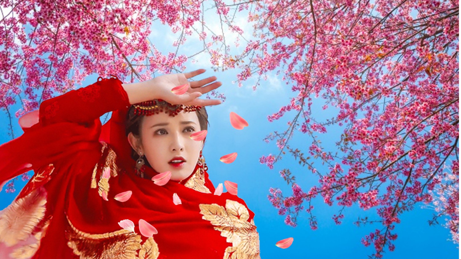 Cắt ghép tự do