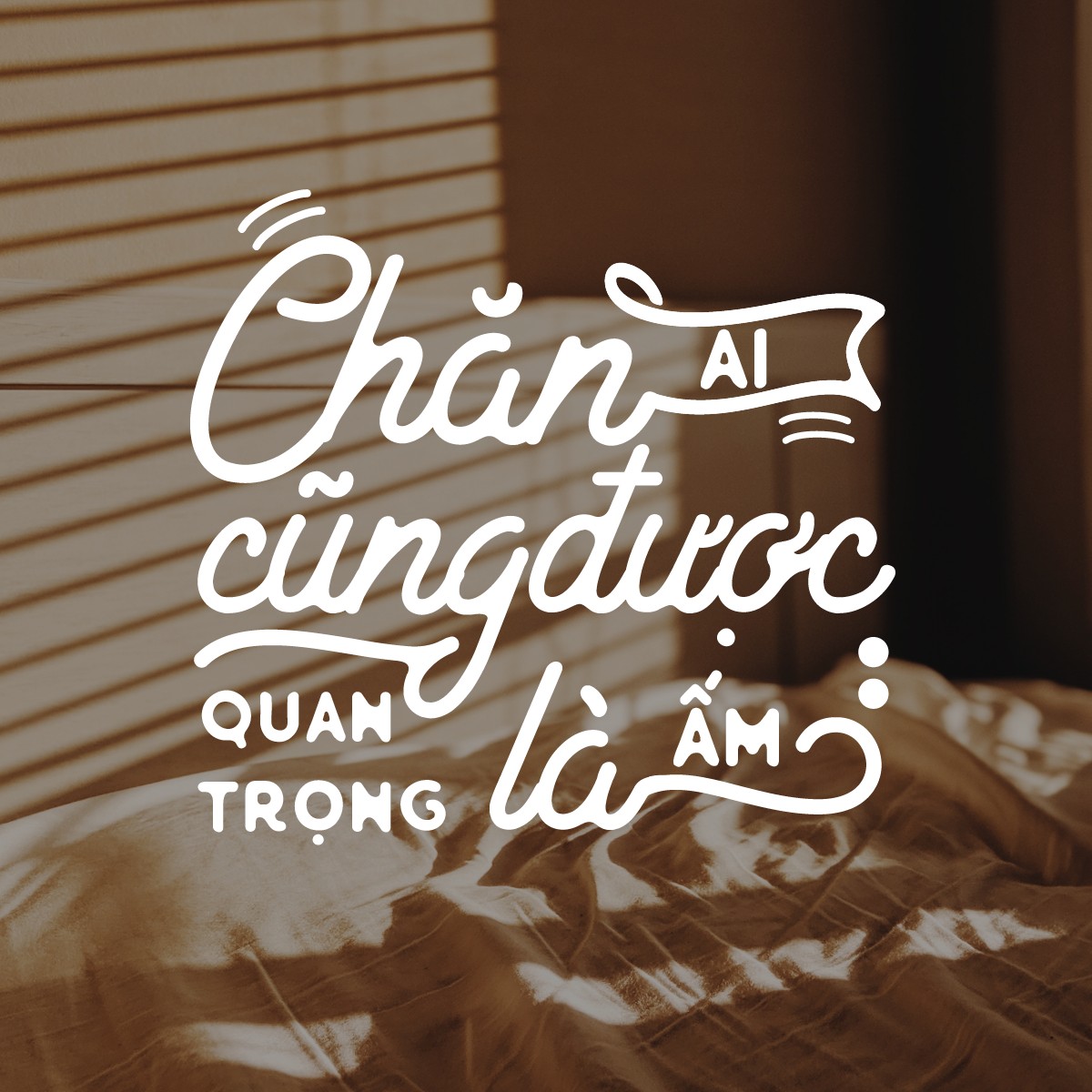 BTVN3: Chăn